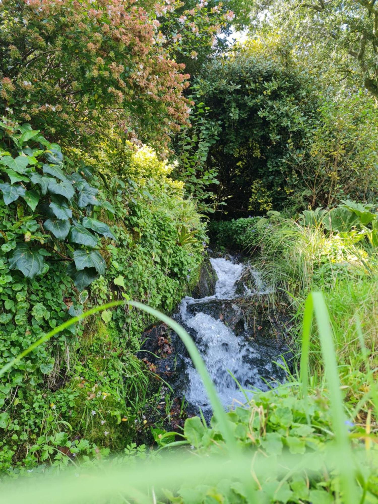 Villa Moulin De Bonnescat à Plogonnec Extérieur photo